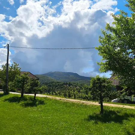 Casa de Férias Nani House, Nature By Gorjanci